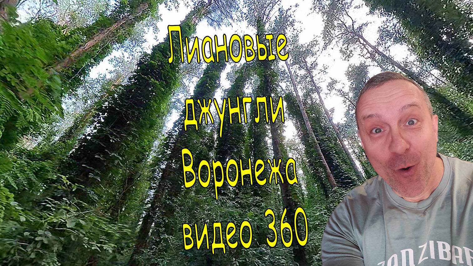 Лиановые джунгли Воронежа реально существуют! Видео снято на камеру 360 #rutube360