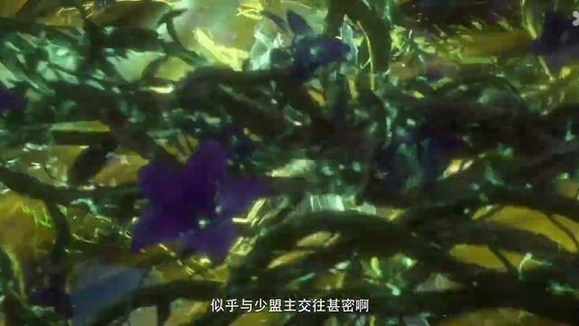 Грёзы в бездне облаков 13 Серия - Превью (Аниме-Мультсериал 2025)