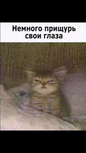 немного прищурь глаза мем