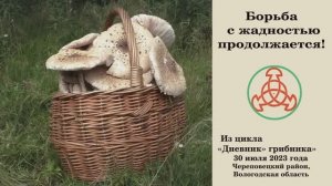 Борьба с жадностью продолжается! "Дневник грибника" 30 июля 2023 года