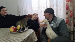 ВЕРНУЛАСЬ В КАЗАХСТАН/РОДНЫЕ УГОВАРИВАЮТ ОСТАТЬСЯ/ХОЗЯЙСТВО