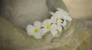 центр медитации "Парамита"