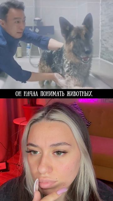 ФИЛЬМ ПРО ЖИВОТНЫХ смотреть онлайн