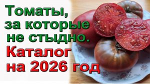 Томаты, за которые не стыдно. КАТАЛОГ СЕМЯН на 2026 год