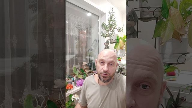 Продуктивность, ресурсность Vs выгорание, апатия