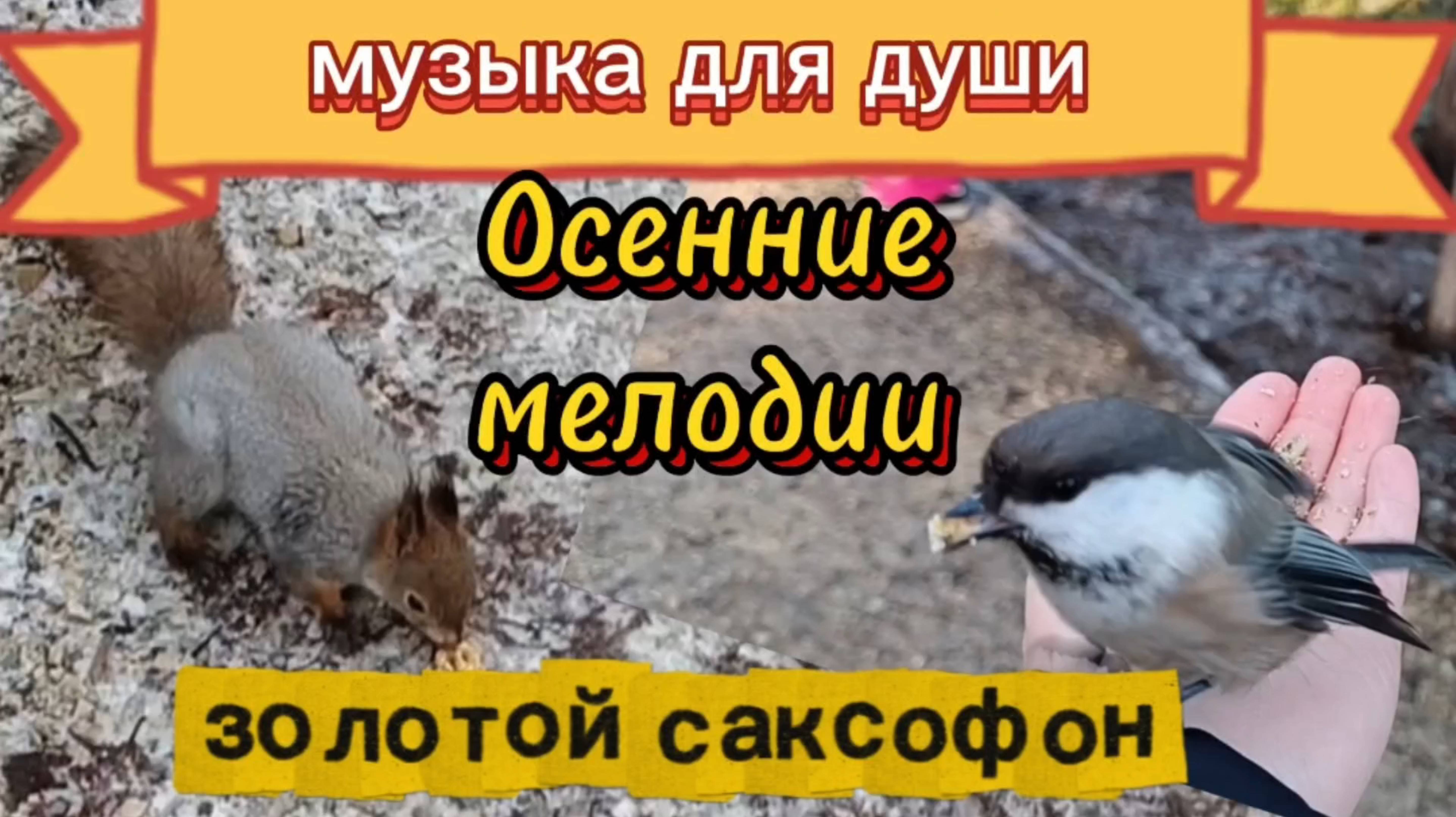 МУЗЫКА ДЛЯ ДУШИ. ЗОЛОТОЙ САКСОФОН. смотреть онлайн