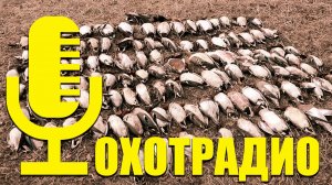 ИТАЛЬЯНСКИЕ РУЖЬЯ - ТАК ЛИ ОНИ ХОРОШИ? /ОХОТРАДИО