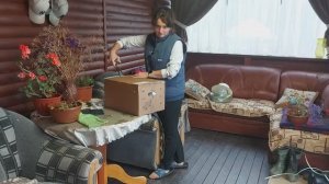 Распаковка посылки с растениями с интернет магазина Гаршинка🌾🌸🤗