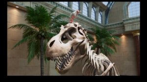 Буба RYTP музей