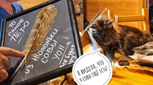 Кошка Морошка собирает нам котомочки на Рептилиум. Готовимся к двухдневному марафону обнимашек