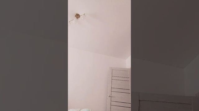 собираюсь в школу смотреть онлайн