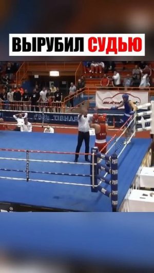 Вырубил судью по заслугам.