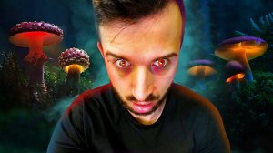 ПОПАЛ В ГРИБНУЮ РОЩУ