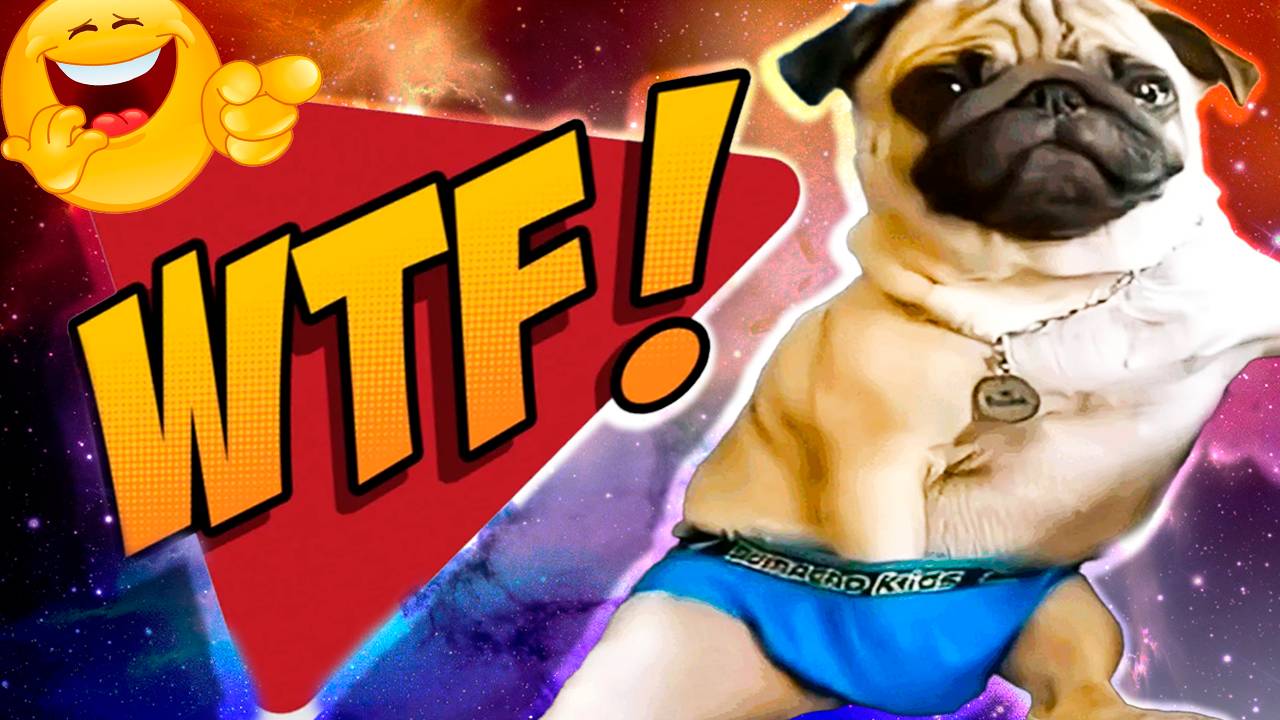 12 Минут смеха 2025 Смешные видео Лучшие Лютые ПРИКОЛЫ Октября! Подборка Я ржал до слез 😂 смотреть онлайн