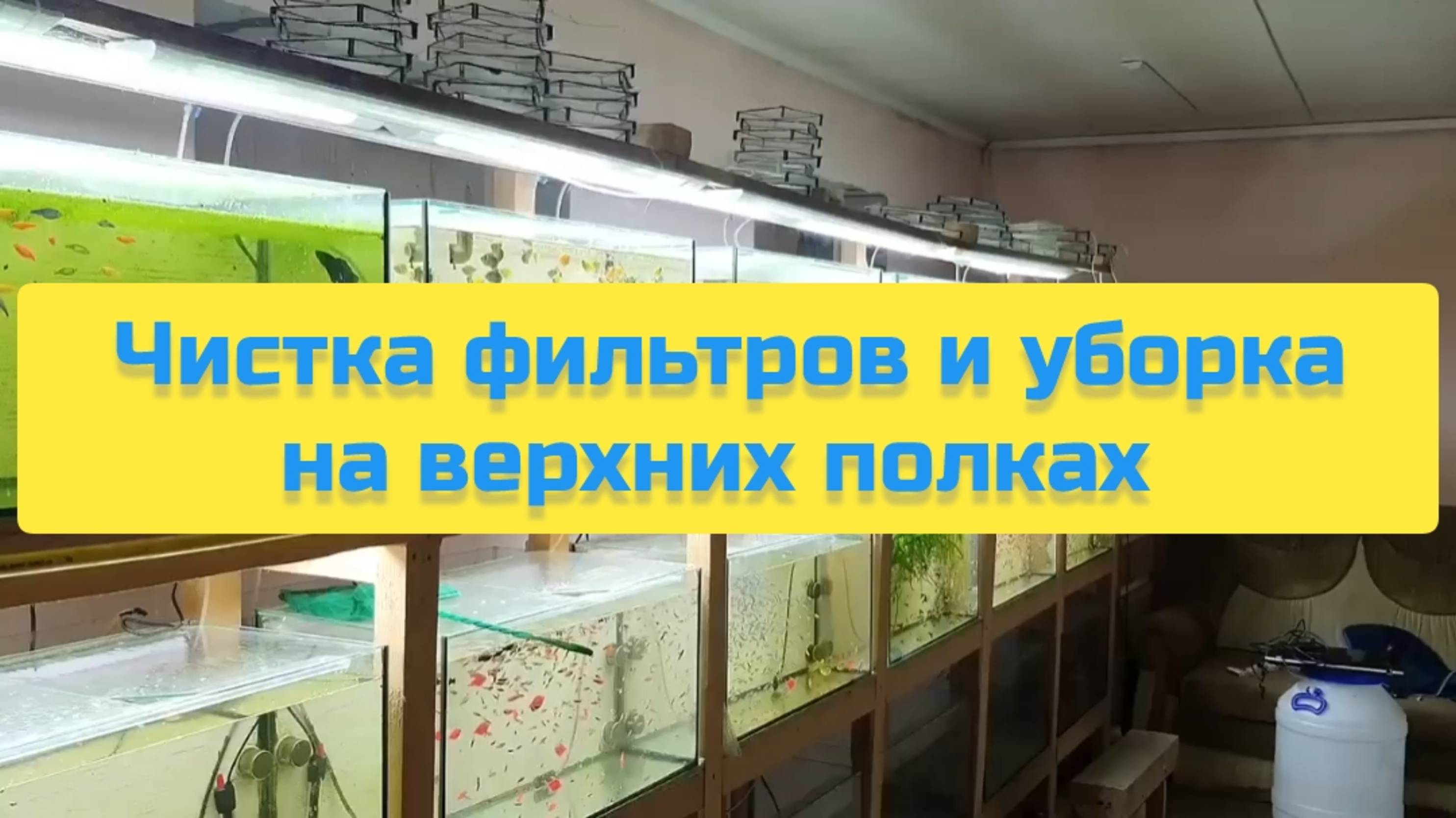 ЧИСТКА ФИЛЬТРОВ И УБОРКА НА ВЕРХНИХ ПОЛКАХ смотреть онлайн