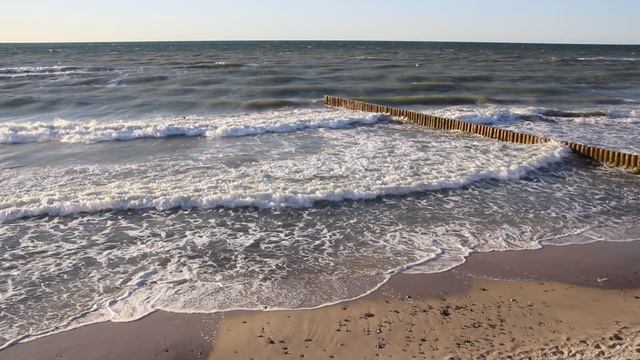 Зеленоградская Балтика! смотреть онлайн