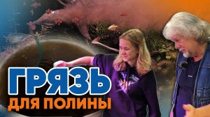 Аквариумные истории из ЭКЗОМЕНЮ (17.10.2025). Грязь для Полины.