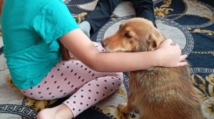 Заказ с ВБ.Собака в доме,коты в шоке.Пеку манник