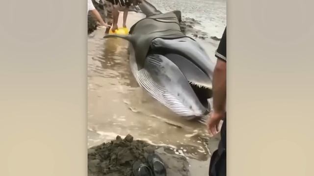 Рыбалка Против Стихии Жуткие Моменты на Рыбалке, Снятые на Камеру смотреть онлайн