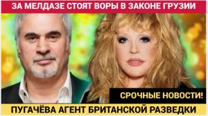 ПУГАЧЕВА — БРИТАНСКИЙ АГЕНТ, А МЕЛАДЗЕ ПОД КРЫШЕЙ ВОРА В ЗАКОНЕ! КТО ЗАПЛАТИЛ ЗВЕЗДАМ ЗА ПРЕДАТЕЛЬСТ