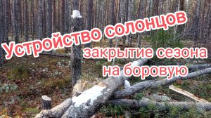 Устройство солонцов