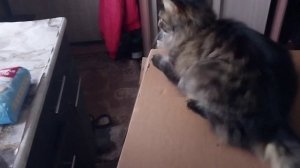 Эта проказница меня вывела😂