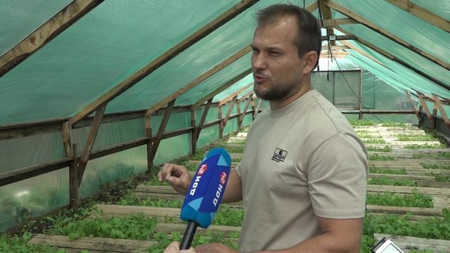 Разведение улиток.Дон 24 в гостях у сальского фермера.