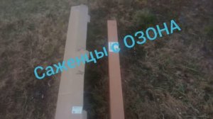 Распаковка , Озон . Выписывал саженцы на Озоне. Смотри что пришло ?