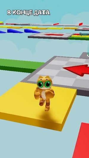 отвечаю на ваши вопросы|WICSUR/БИСКАС