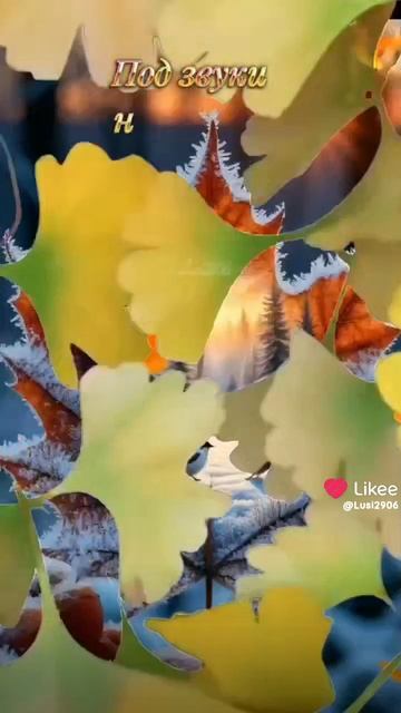 Like_7562066386327608735.mp4