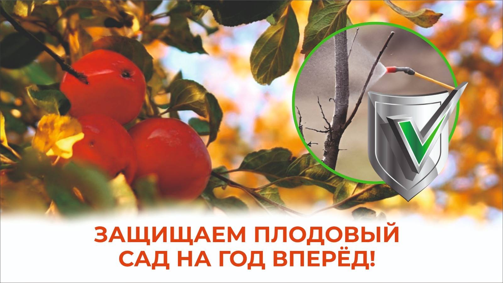 Огород, сад без вредителей — реальный опыт и решение! смотреть онлайн