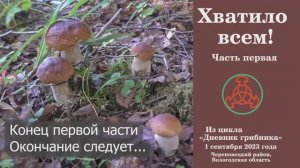 Хватило всем! Часть первая. Дневник грибника. 1 сентября 2023 года