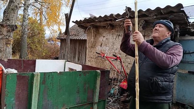 КУПИЛИ 4кг ДОМАШНЕГО САЛА, ОБРЕЗАЕМ ДЕРЕВЬЯ, ПОВСЕДНЕВНАЯ ЖИЗНЬ смотреть онлайн