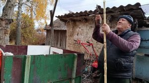 КУПИЛИ 4кг ДОМАШНЕГО САЛА, ОБРЕЗАЕМ ДЕРЕВЬЯ, ПОВСЕДНЕВНАЯ ЖИЗНЬ