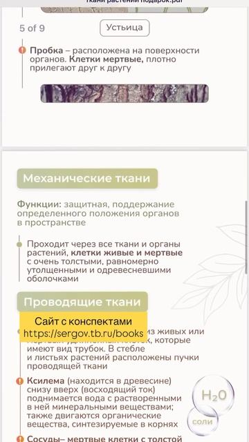 Примеры конспектов по биологии смотреть онлайн