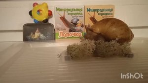 Я устал я ухожу??! Посмотри до конца и узнаешь что случилось с каналом