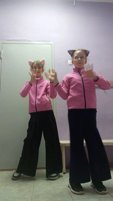 😻Чиловый котик 😻