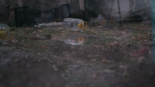 Осень Panasonic Lumix GH5s + Sigma 18-35