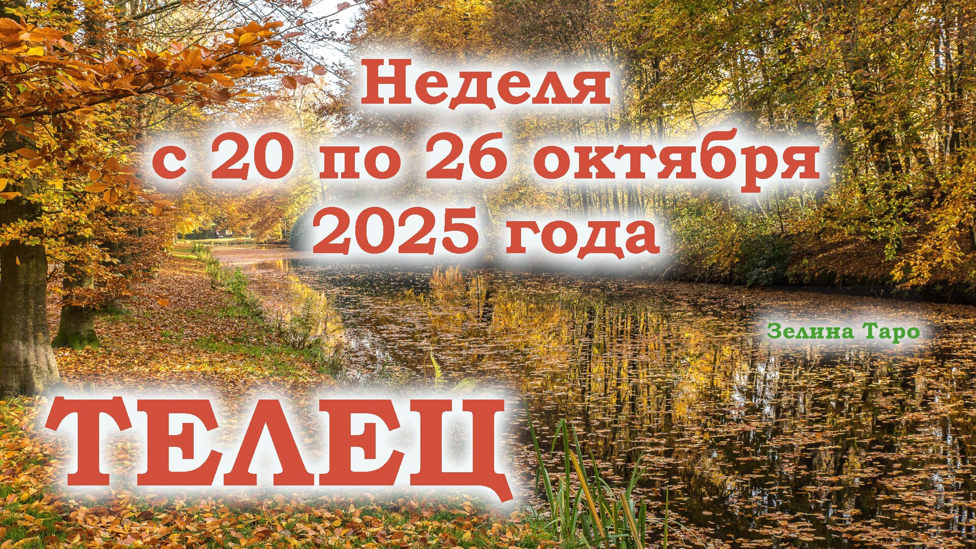 ТЕЛЕЦ | ТАРО прогноз на неделю с 20 по 26 октября 2025 года смотреть онлайн