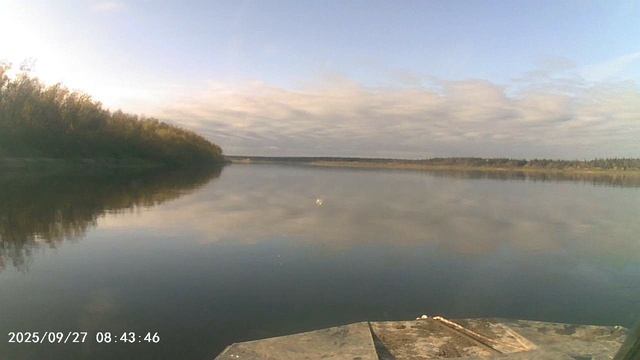 MOV00050 смотреть онлайн