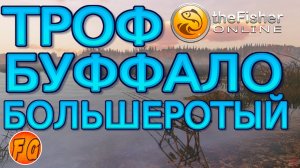 Буффало Большеротый. Казахстан оз. Жусинбай. The Fisher Online. Точка лова Буффало Большеротого