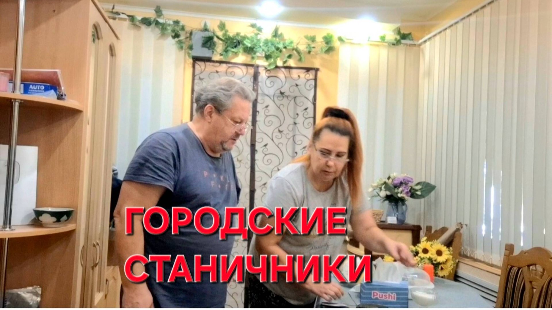 823 Переезд из города в станицу. Теперь мы Городские Станичники. смотреть онлайн