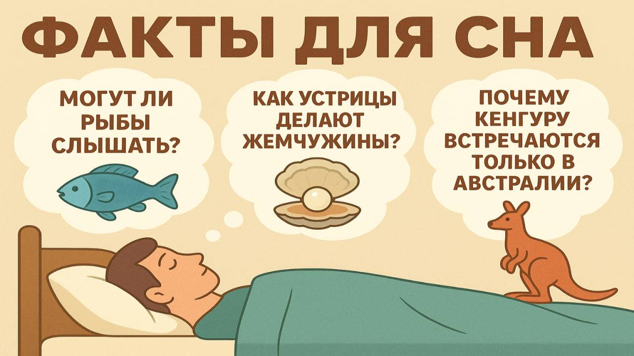 Факты для сна: Удивительные и познавательные истории перед сном смотреть онлайн