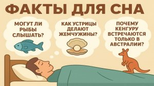 Факты для сна: Удивительные и познавательные истории перед сном