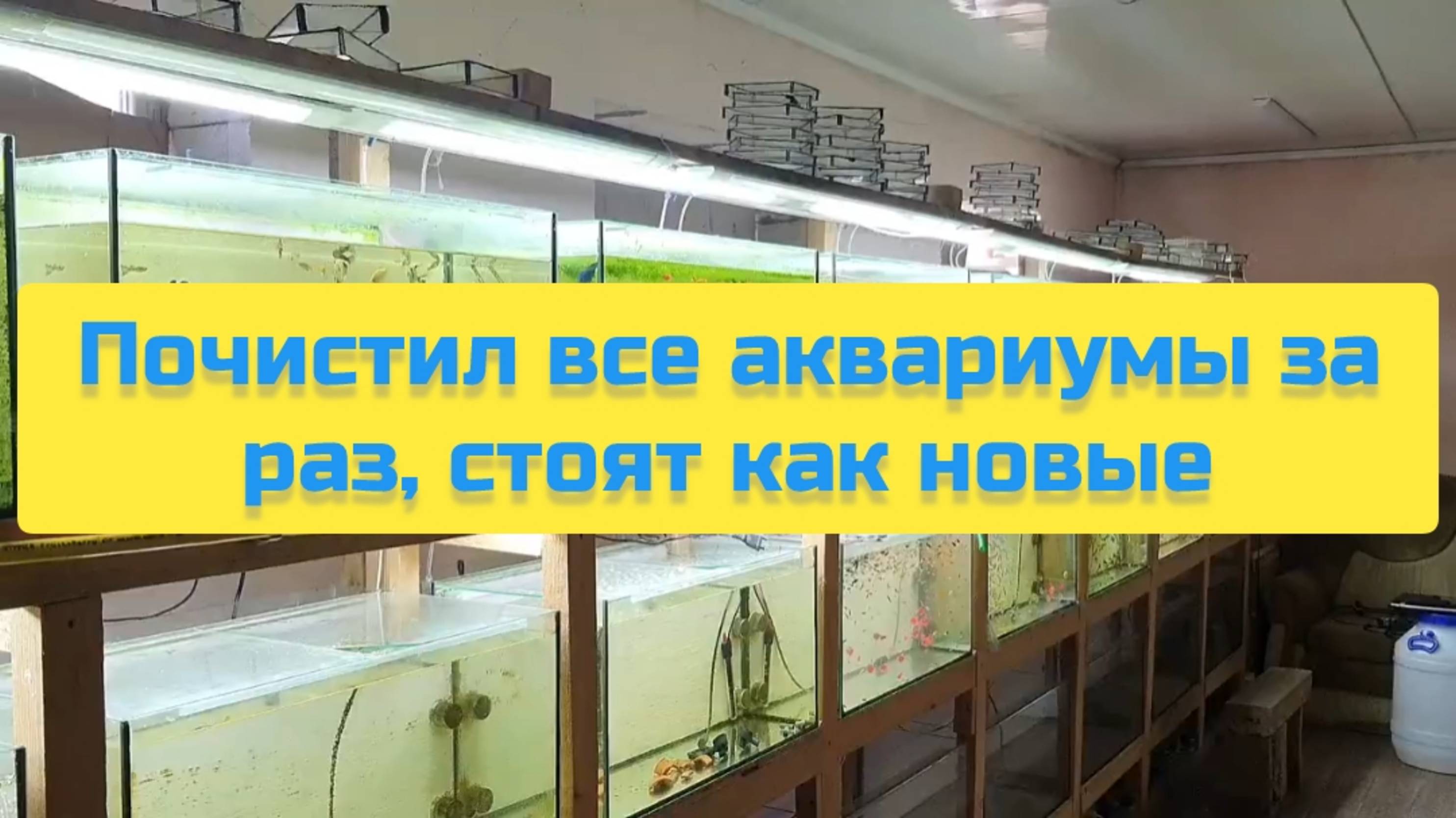 ПОЧИСТИЛ ВСЕ АКВАРИУМЫ ЗА РАЗ, СТОЯТ КАК НОВЫЕ смотреть онлайн