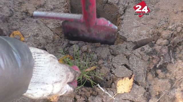 «Лет через 30 мы приедем сюда и будем смотреть на плоды наших стараний» смотреть онлайн