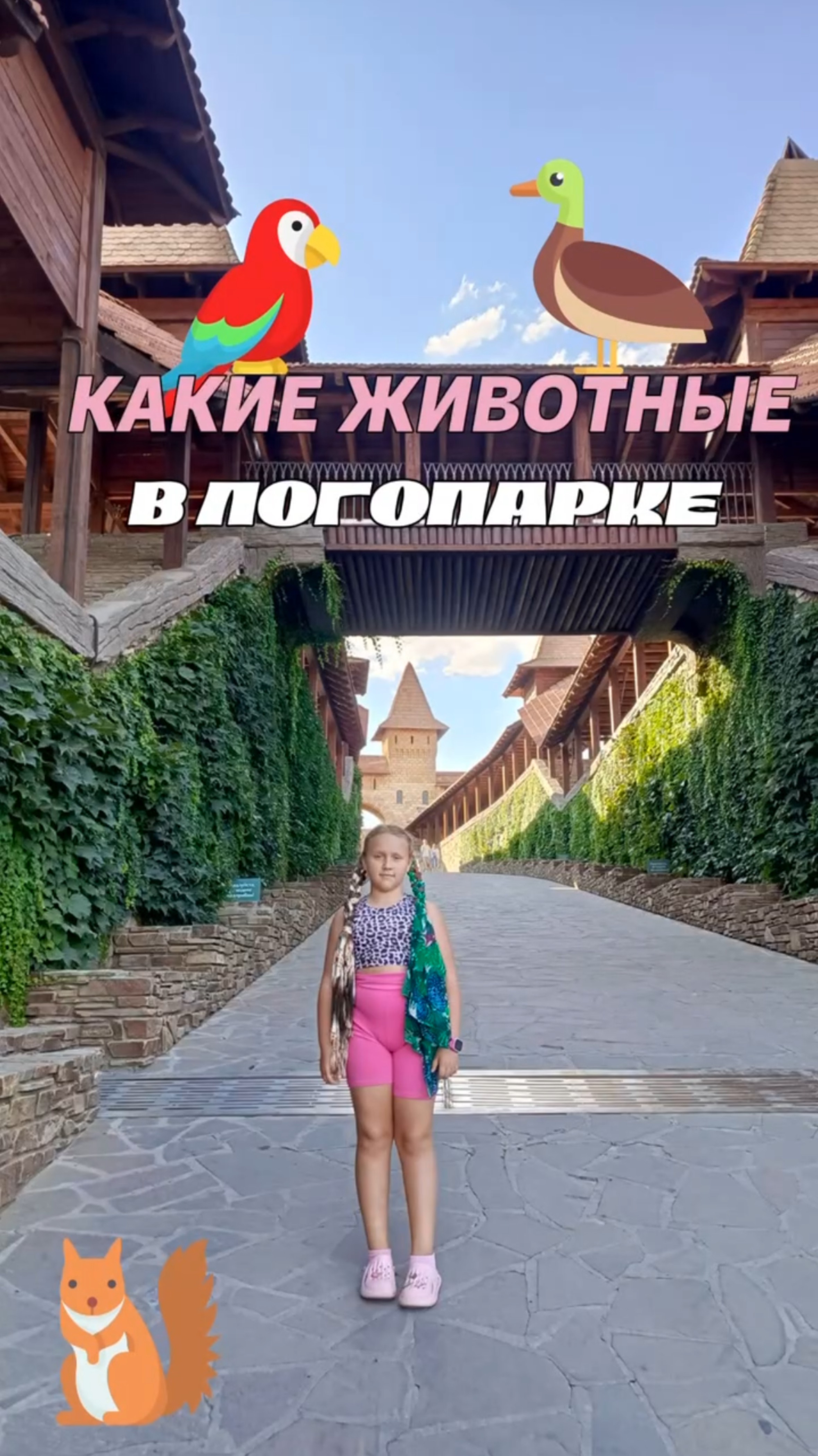 Какие животные есть в Логопарке смотреть онлайн