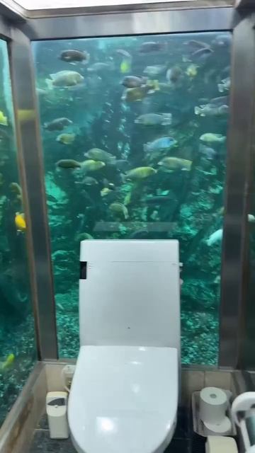 Уборная_в_японском_кафе_«Hipopo_Papa»._Как_думаете,_насколько_там_большие_очереди_) смотреть онлайн