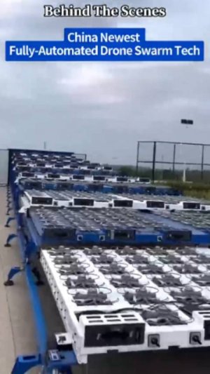 КИТАЙСКИЙ  СЮРПРИЗ?