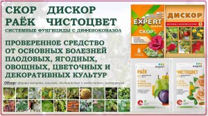 Скор, Раёк, Чистоцвет и Дискор - одно из лучших средств от болезней растений. Обзор 2025
